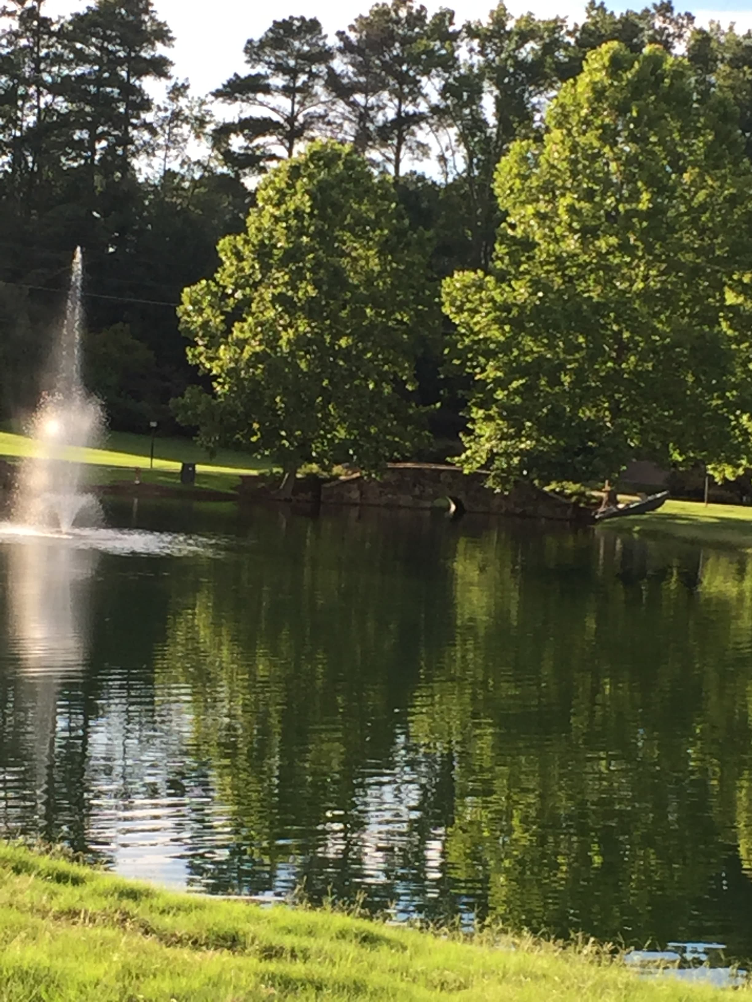 Pond with fountain