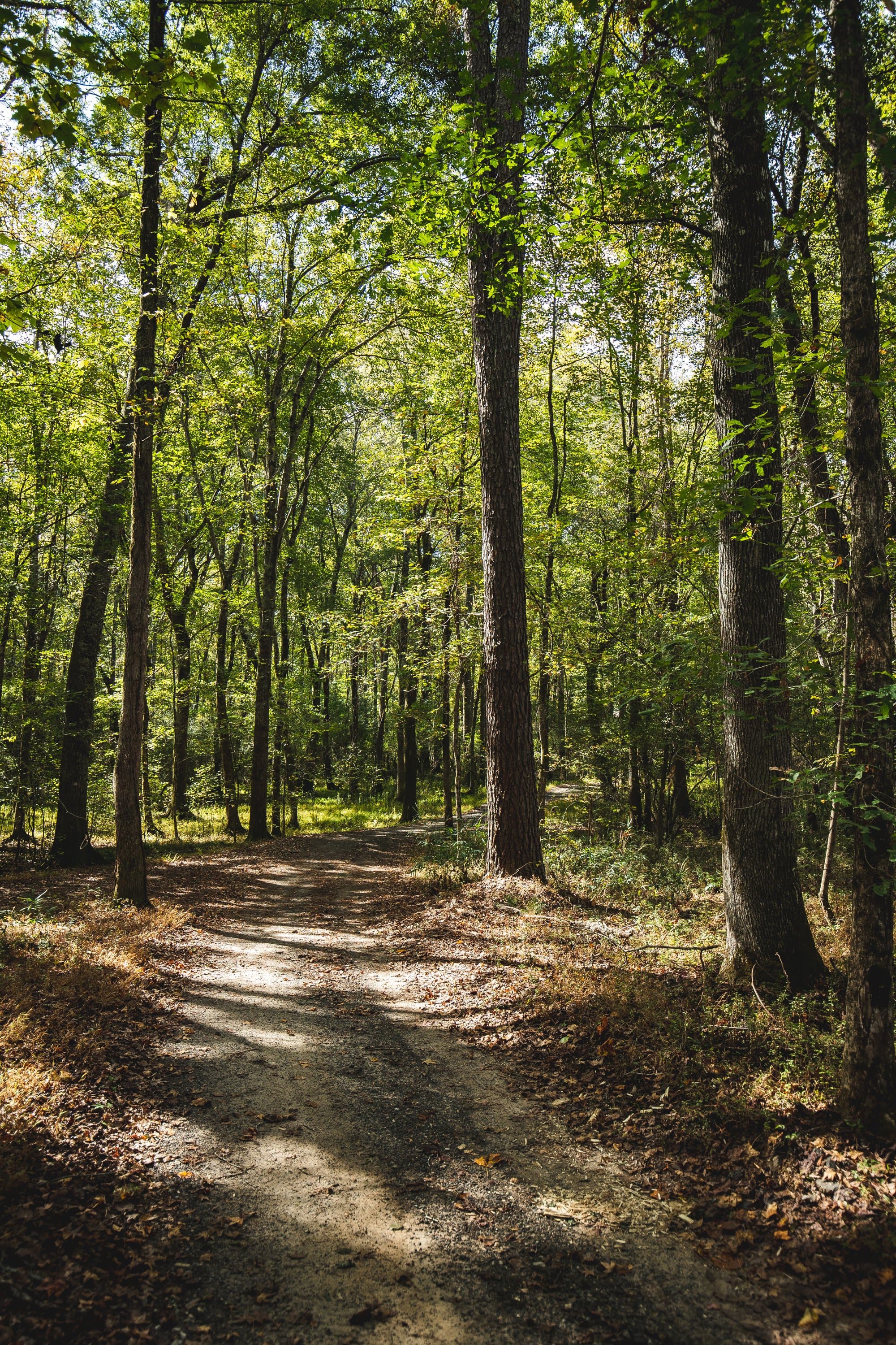 Woods, Trails & Outbuildings